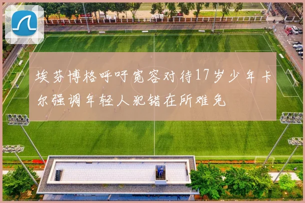 埃芬博格呼吁宽容对待17岁少年卡尔强调年轻人犯错在所难免