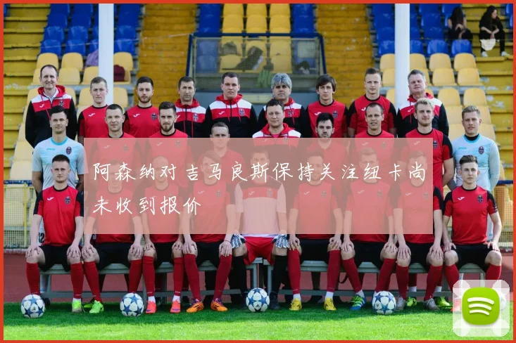 阿森纳对吉马良斯保持关注纽卡尚未收到报价
